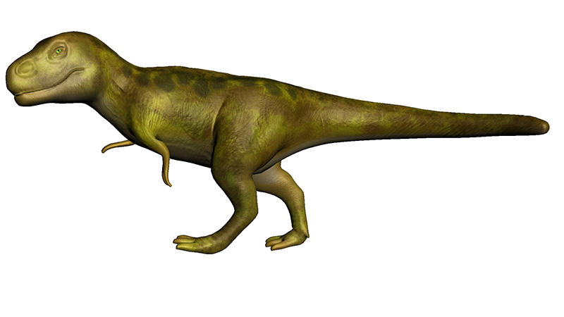 T-Rex 9