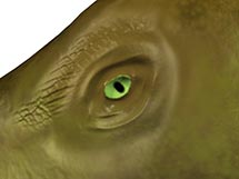 T-Rex 8